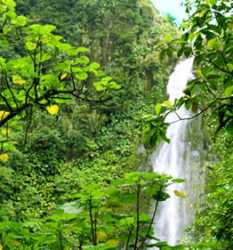 Excursion Guadeloupe