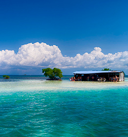 Excursions Guadeloupe